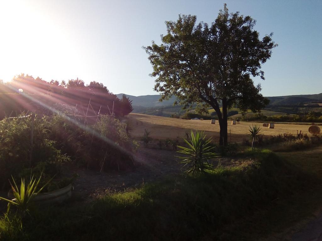 Carlo'S Country House Castellina Marittima Esterno foto