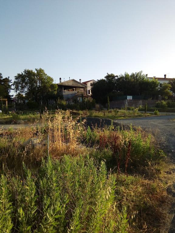 Carlo'S Country House Castellina Marittima Esterno foto