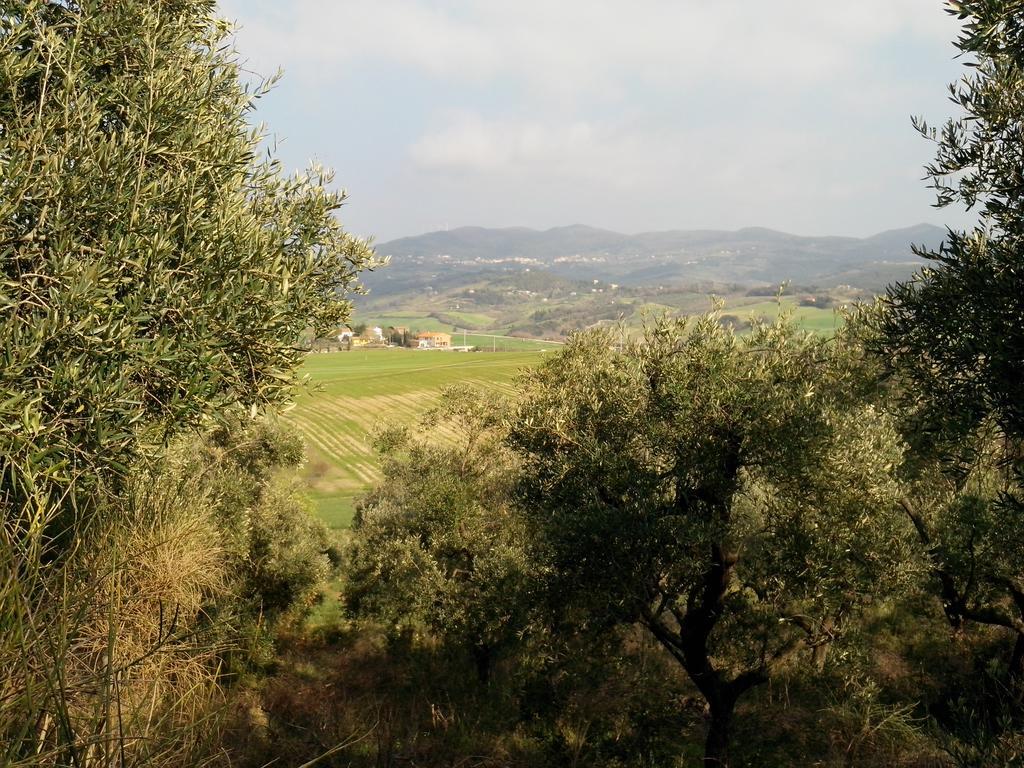 Carlo'S Country House Castellina Marittima Esterno foto